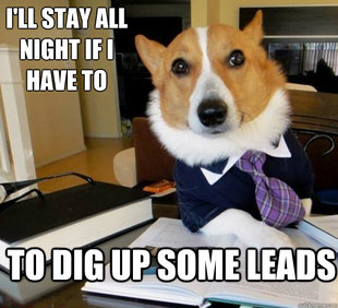 Lawyer Dog