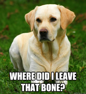 Dog Logic