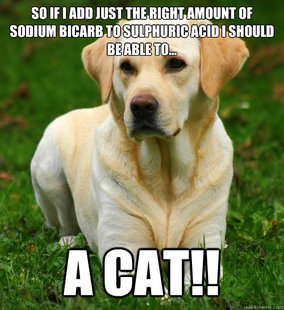 Dog Logic