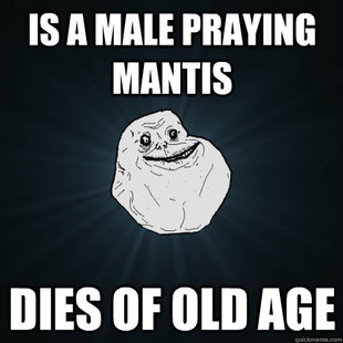 Forever Alone