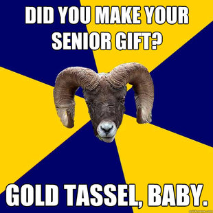 Suffolk Kid Ram
