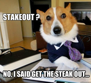 Lawyer Dog