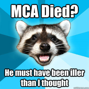 Lame Pun Coon