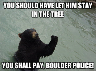 Vengeful Bear