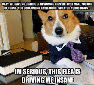 Lawyer Dog