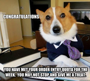 Lawyer Dog