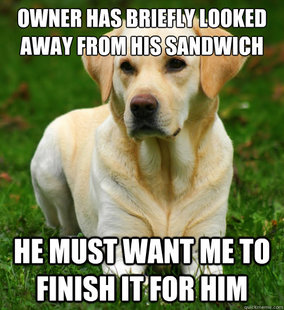 Dog Logic