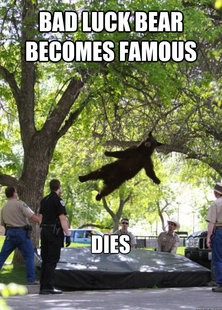 Falling Bear