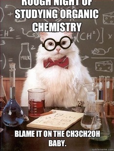 Chemistry Cat