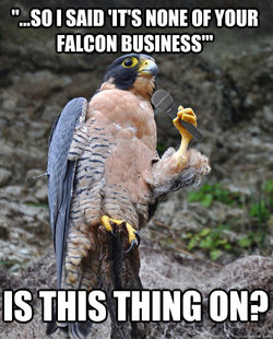 Microphone Falcon