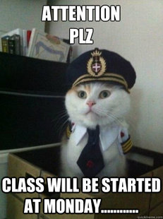 Captain kitteh