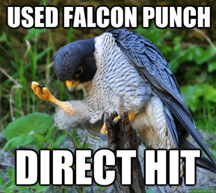 Success Falcon
