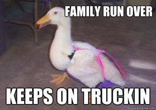 Disco Duck