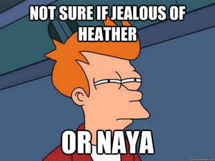 Futurama Fry