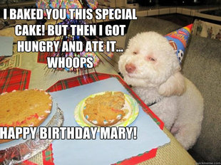 Birthday Dog