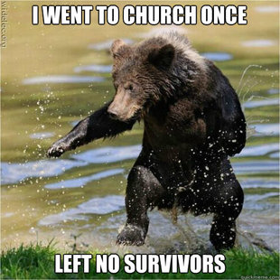 Karate Bear