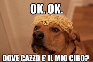 10 Dog