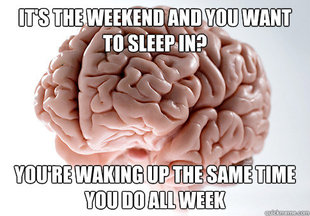 Scumbag Brain
