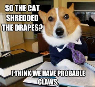 Lawyer Dog