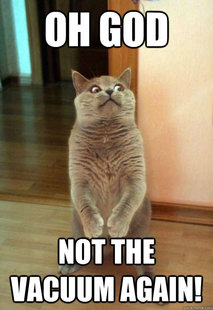 Horrorcat