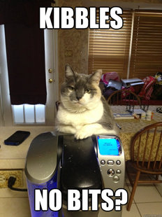 kuerig cat