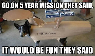 Dog Enterprise