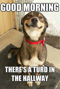Good Dog Greg