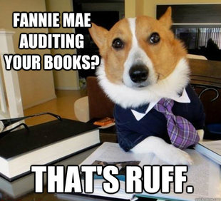 Lawyer Dog