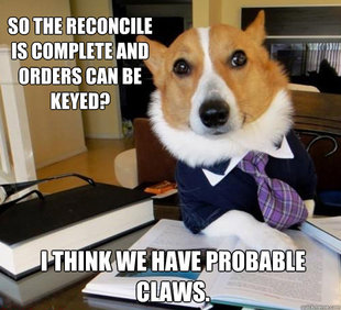 Lawyer Dog