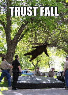 Falling Bear