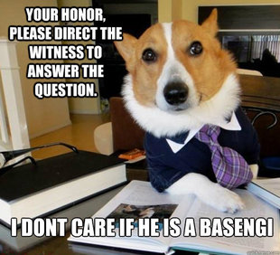 Lawyer Dog