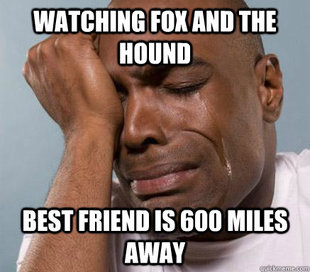 First World Guy Problems