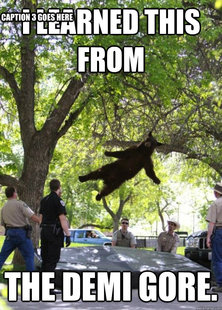 i am a falling bear
