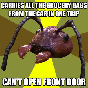 over-efficient ant