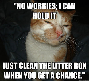 Cool Cat Craig