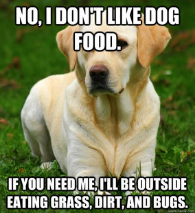 Dog Logic