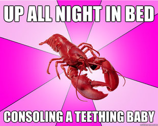 Long-term relationship Lobster