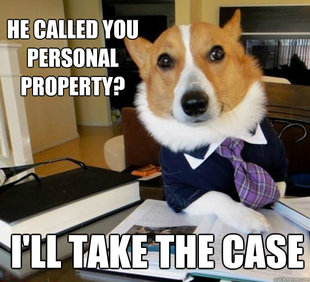 Lawyer Dog
