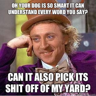 Condescending Wonka