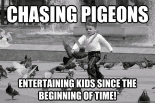 Bens Pigeons