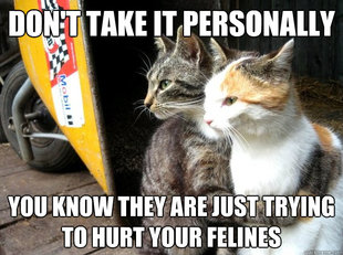 Restraining Cat