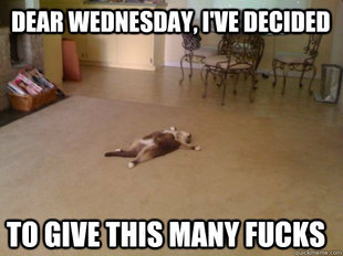 Down Cat