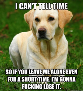 Dog Logic