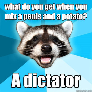 Lame Pun Coon