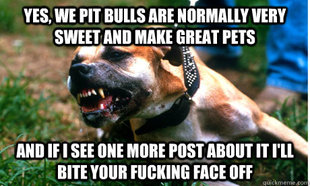 Angry Pit Bull