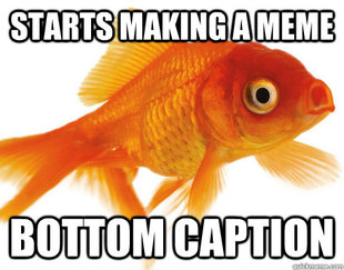 Forgetful Fish
