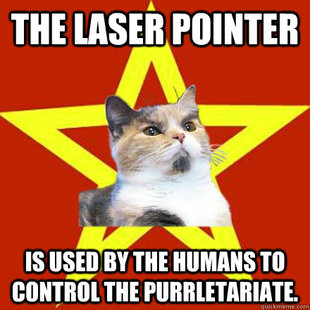 Lenin Cat