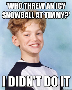 I didnt do it