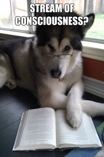 Condescending Literary Pun Dog