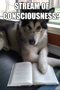 Condescending Literary Pun Dog